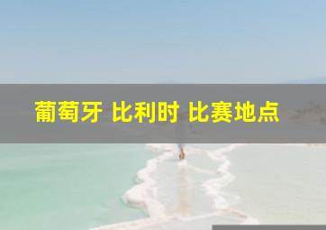 葡萄牙 比利时 比赛地点